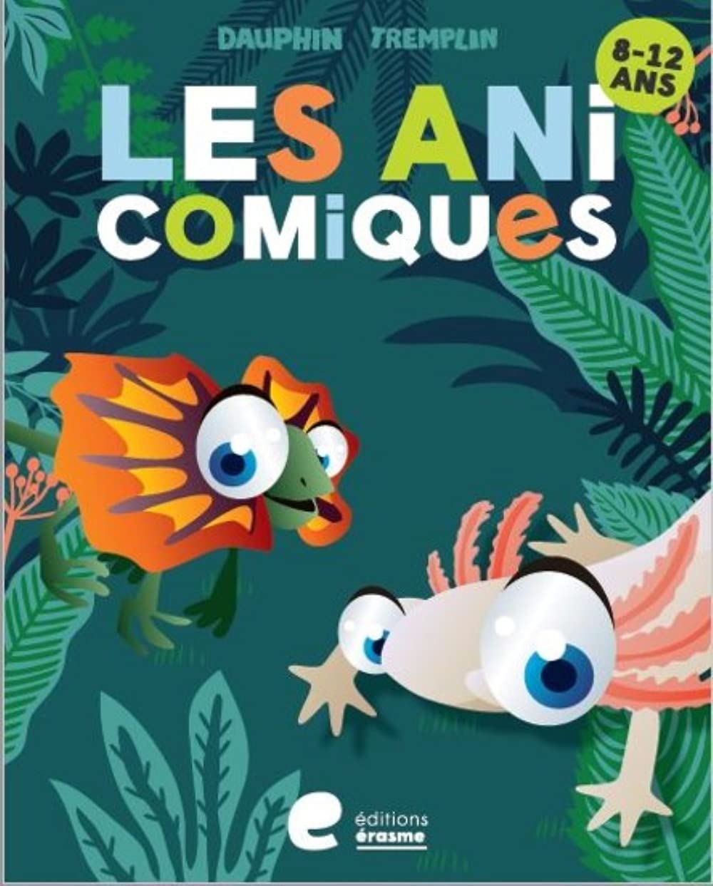 Les anicomiques: Cahier de réussite book