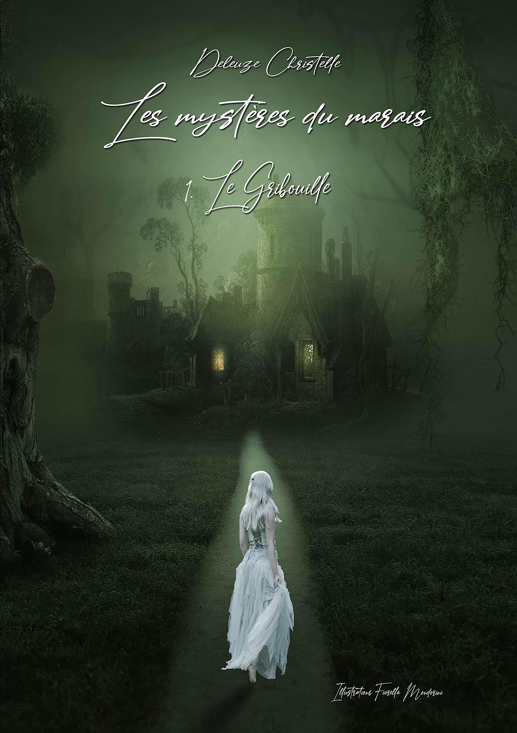 LES MYSTÈRES DU MARAIS: Tome 1 le gribouille book