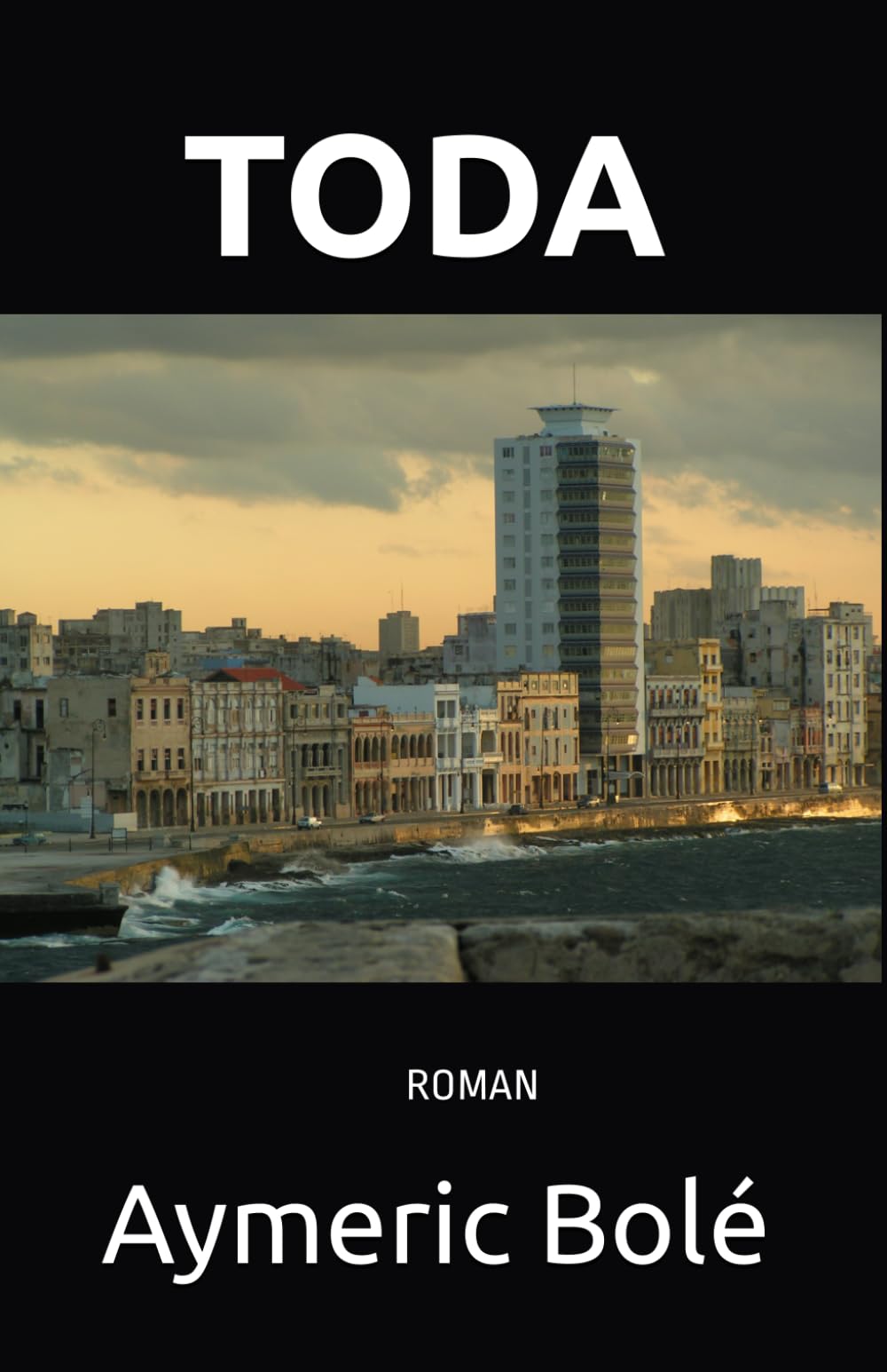 TODA Contemporary literature Books