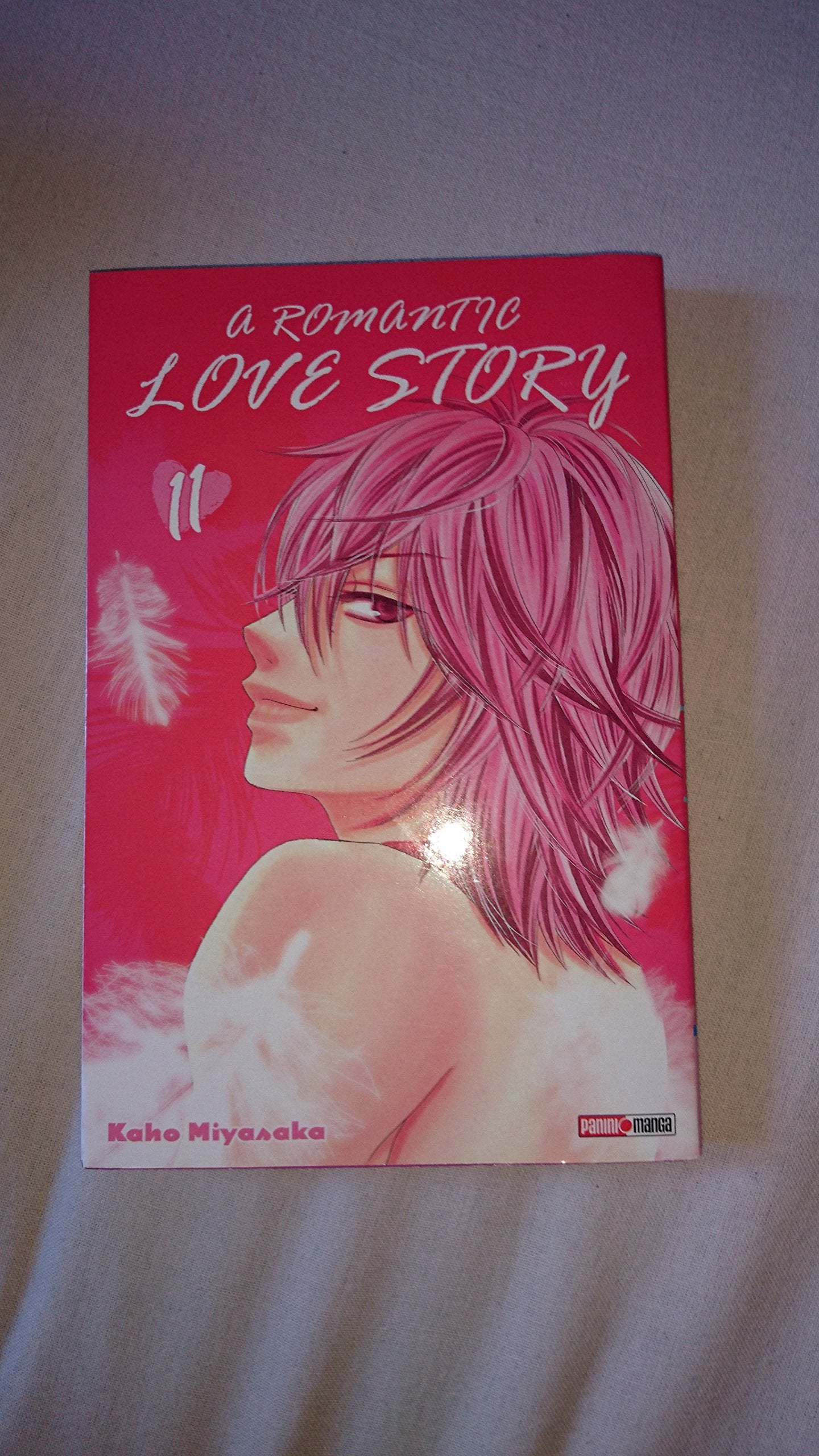 A romantic loves story T11 Manga