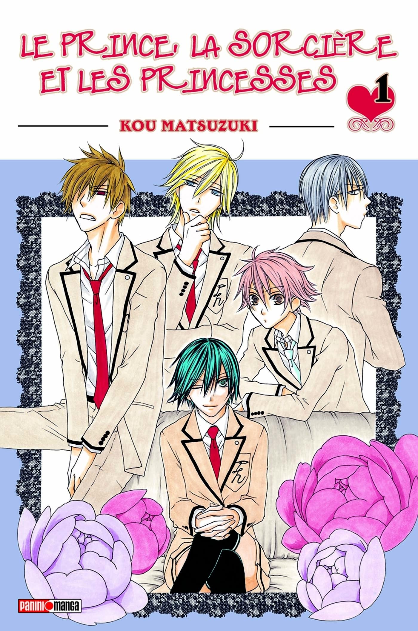 LE PRINCE, LA SORCIERE ET LES PRINCESSES T01 book