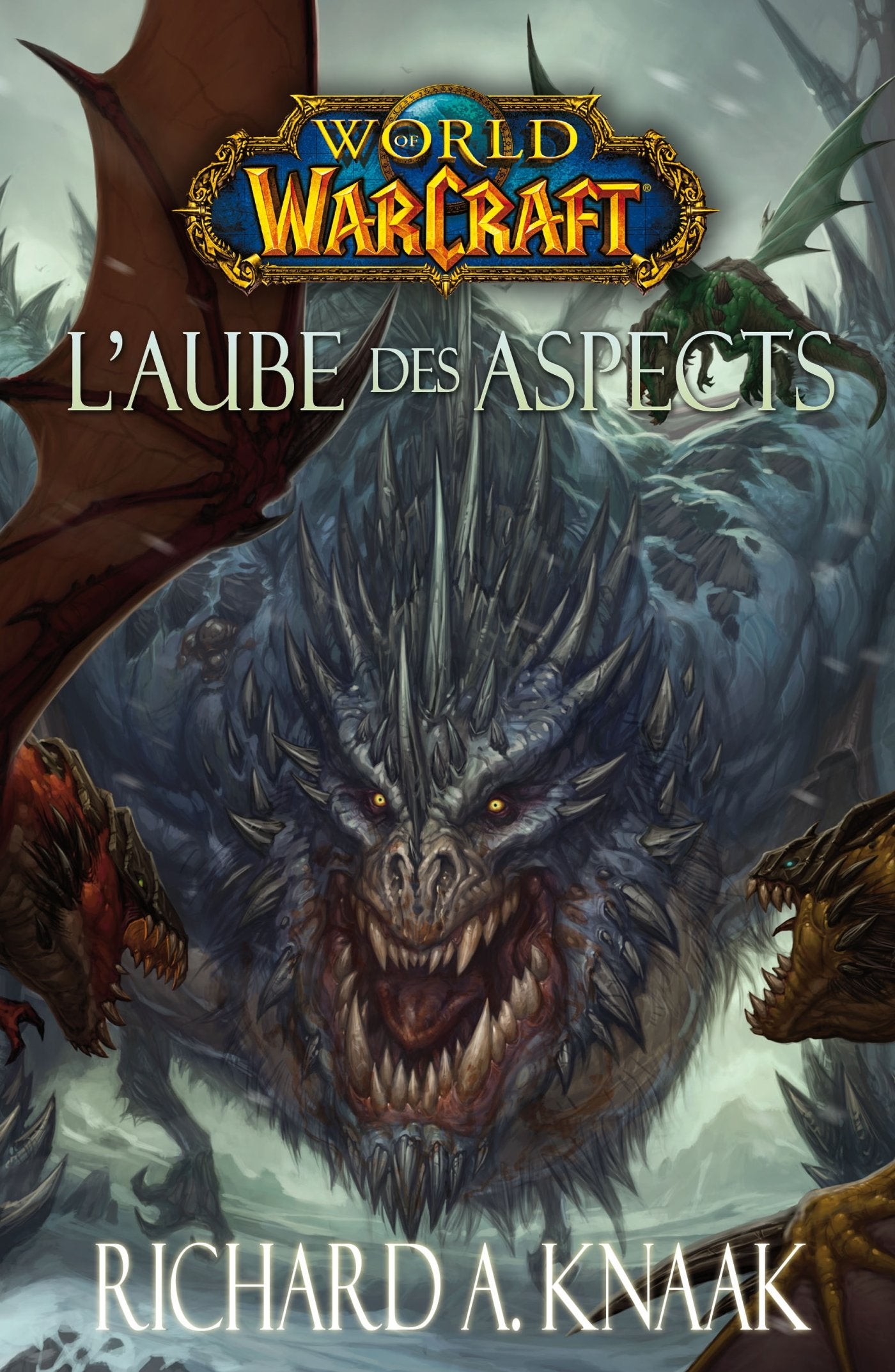 World of Warcraft: L'aube des aspects book