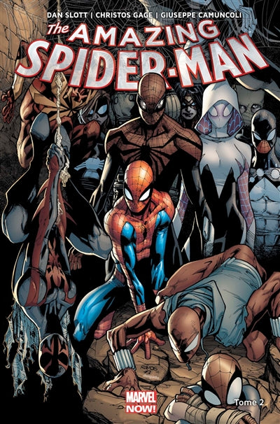 Product Image: The amazing Spider-Man. Vol. 2