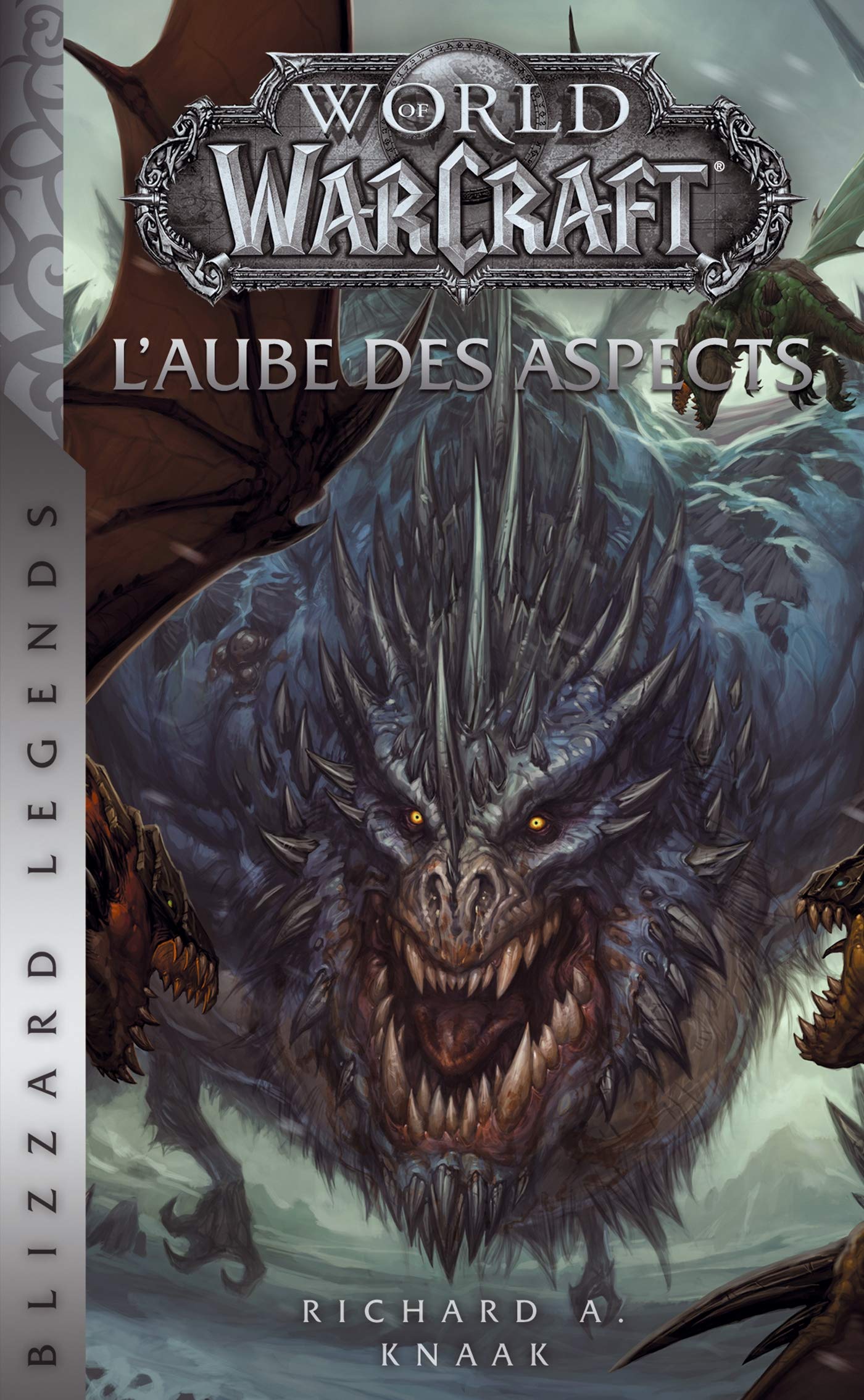World of Warcraft - L'Aube des Aspects (NED) book