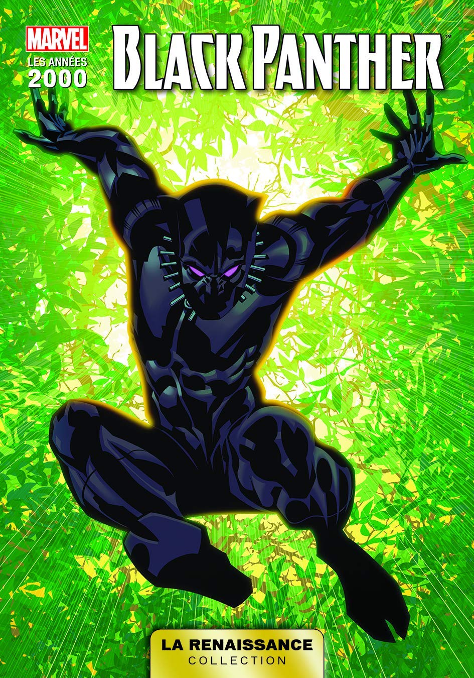 LA RENAISSANCE DES HEROS MARVEL T02 : BLACK-PANTHER book