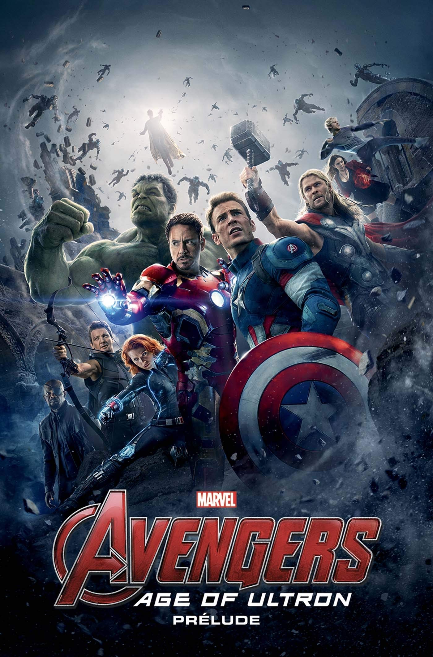 Avengers Age of Ultron: Prélude book