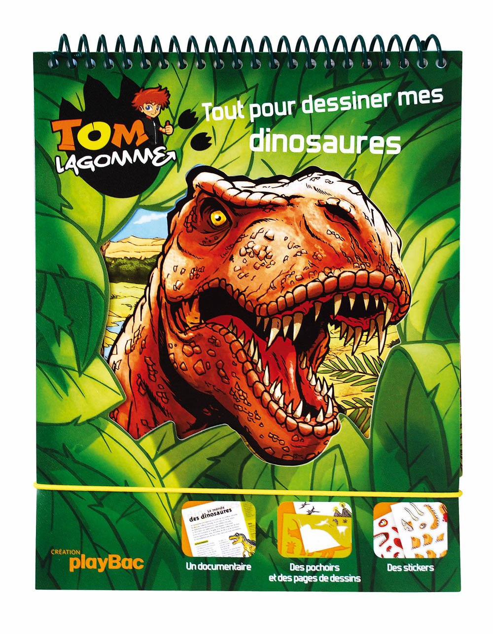 Tom Lagomme: Tout pour dessiner mes dinosaures book