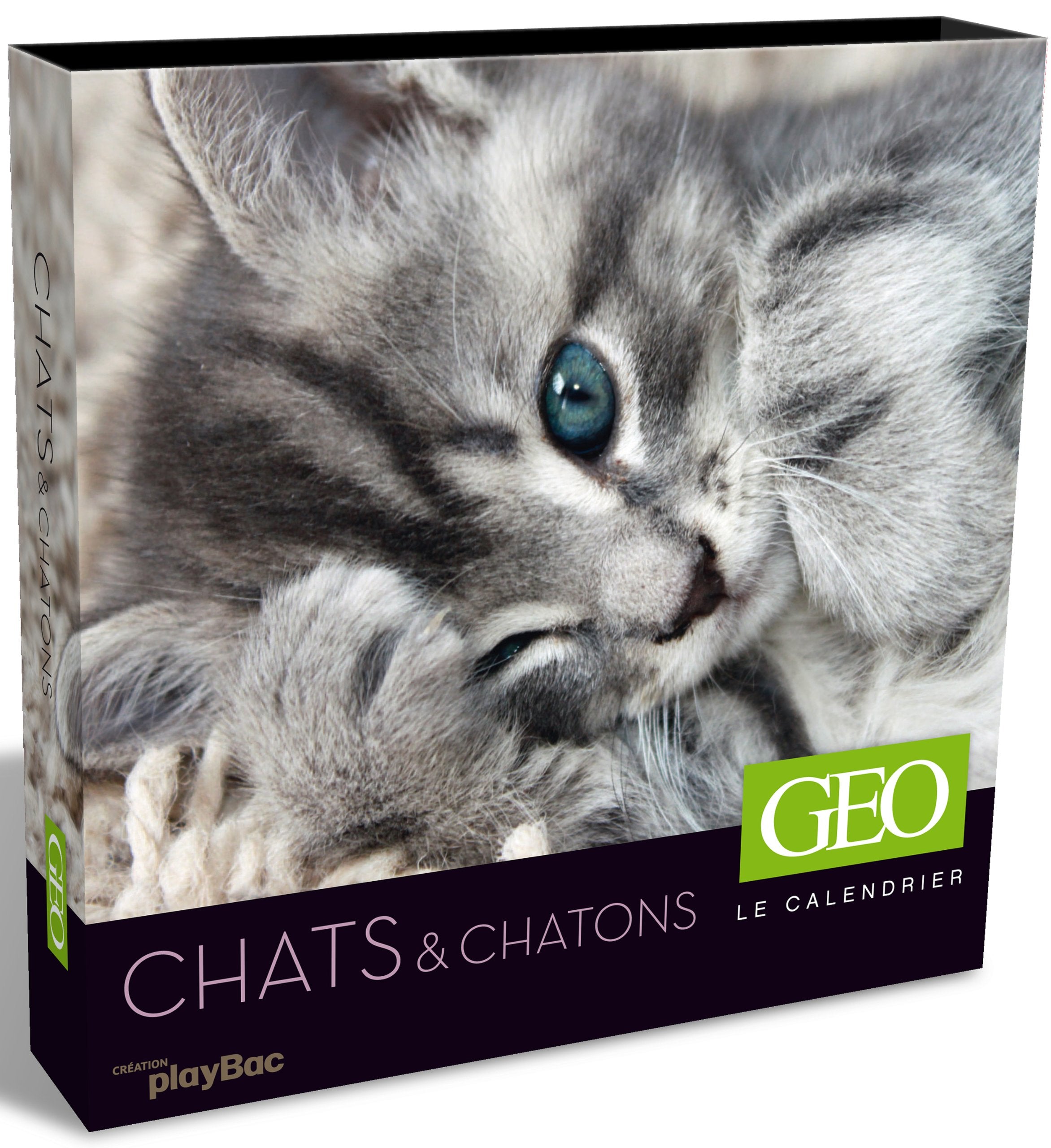 Product Image: Le calendrier Géo : Chats & chatons