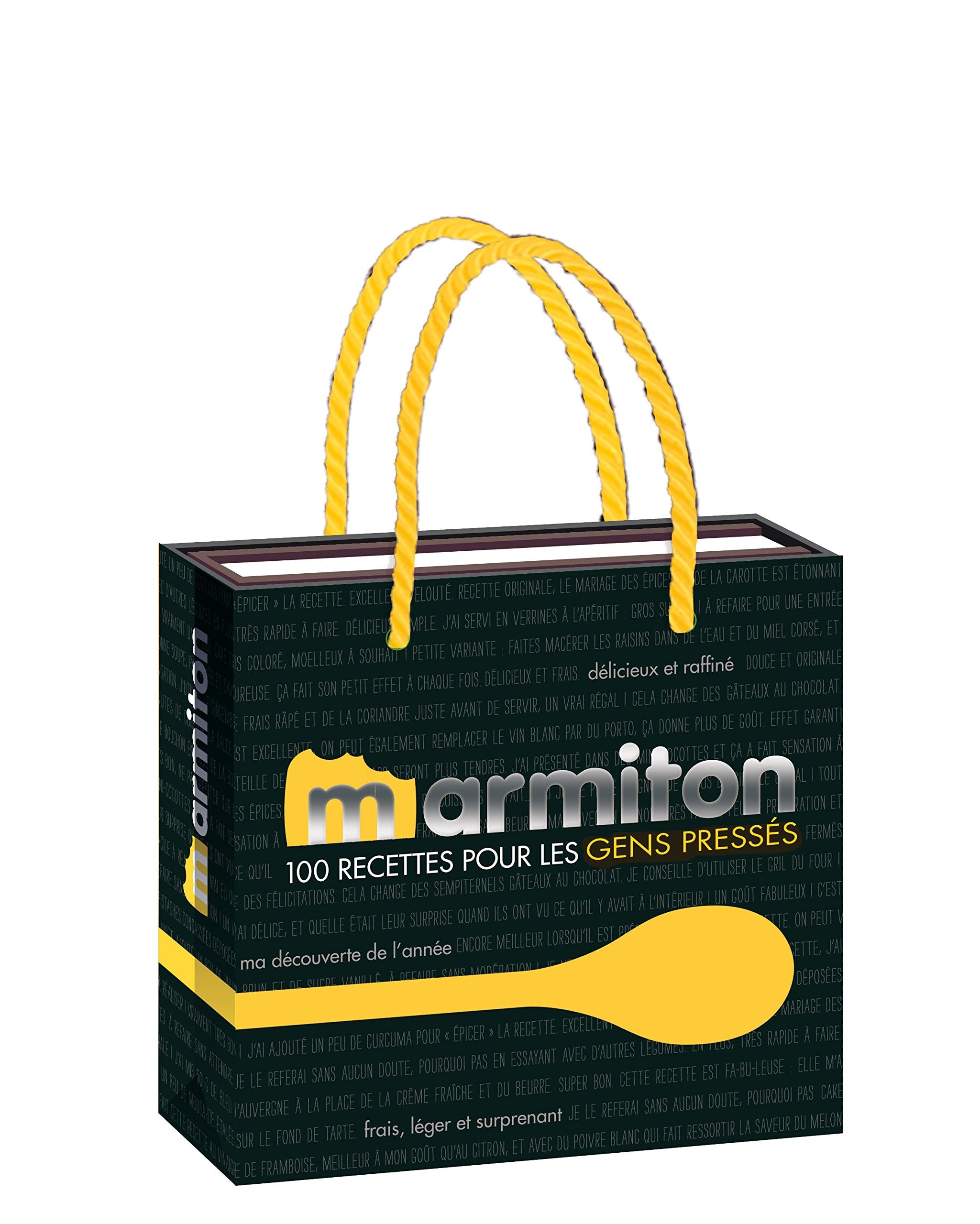 Marmiton - 100 recettes pour les cuisiniers pressés book