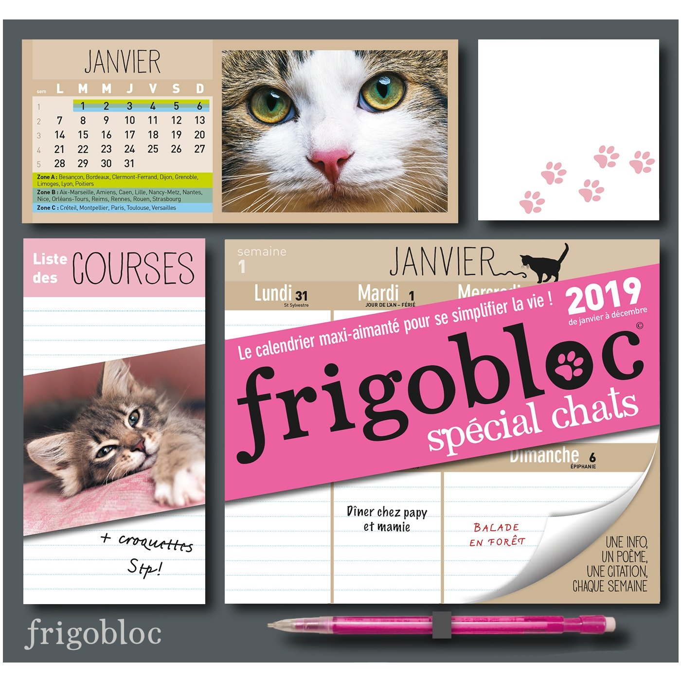 Frigobloc 2019 spécial Chats - Calendrier d'organisation familiale book