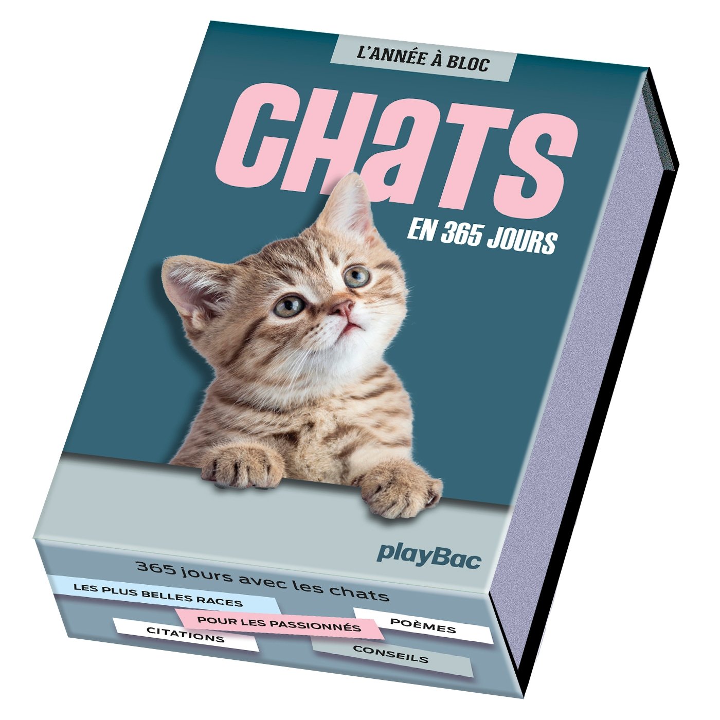 Calendrier Chats en 365 jours - L'Année à Bloc book