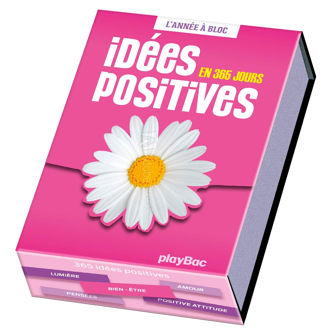 Calendrier idées positives en 365 jours - L'Année à Bloc book