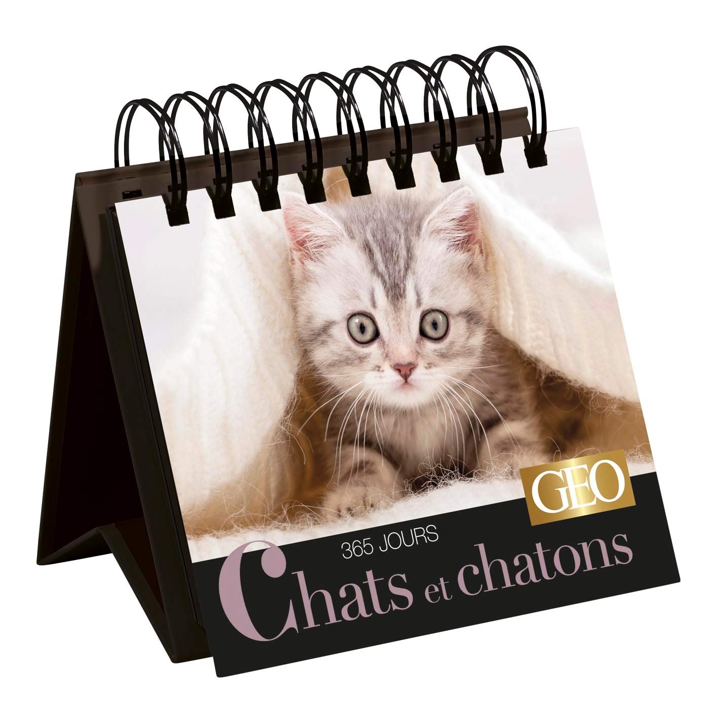 365 jours Chats et chatons - Calendrier Géo book