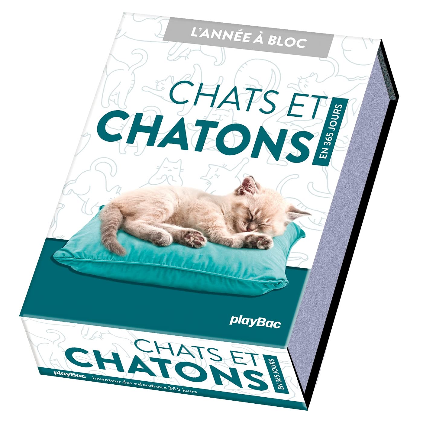Calendrier Chats et chatons en 365 jours - L'Année à bloc Partnership & Love