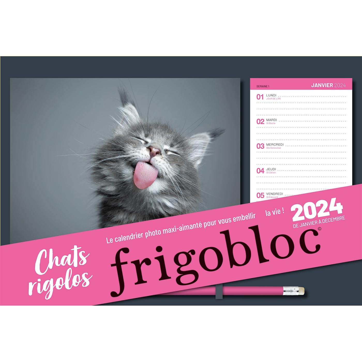 Frigobloc photos Chats rigolos 2024 (de janv. à déc. 2024) book