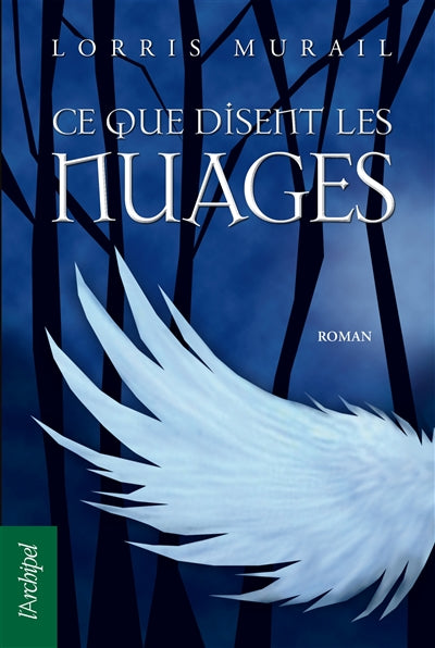 Product Image: Ce que disent les nuages