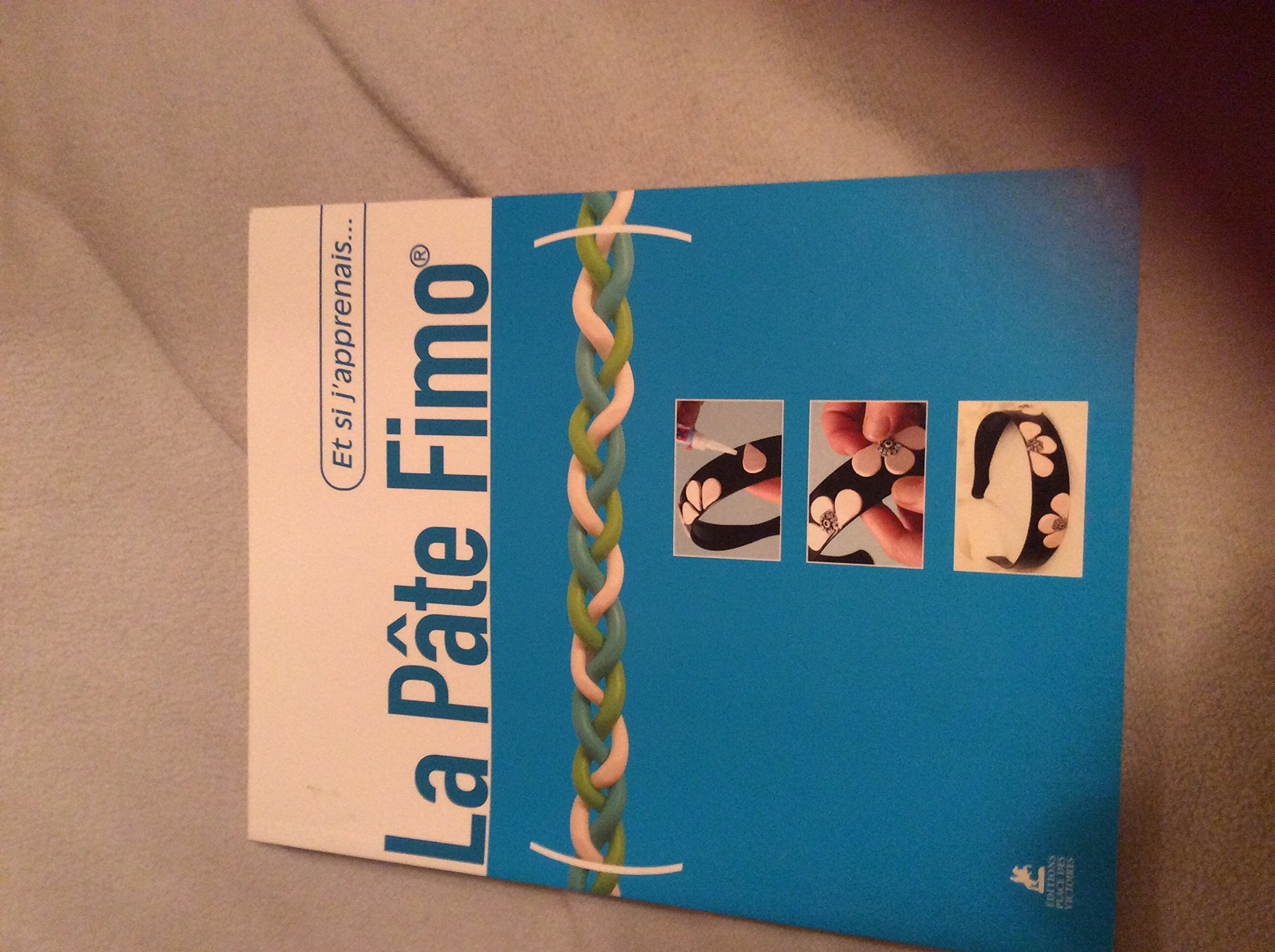 ET SI APPRENAIS LA PATE FIMO book