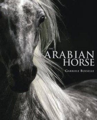 Product Image: Araber Pferde