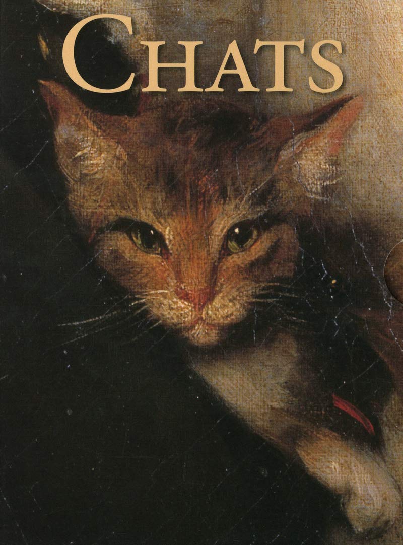 Chats : Coffret 30 cartes perpétuelles & enveloppes book