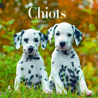 Product Image: Chiots : calendrier 2023