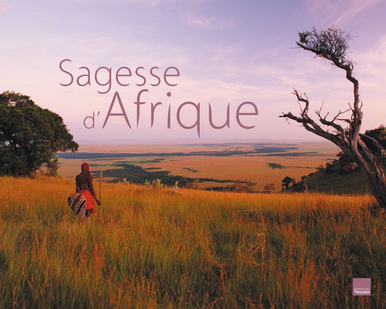 SAGESSE D'AFRIQUE: PAYSAGES ET PENSEES Politics & History