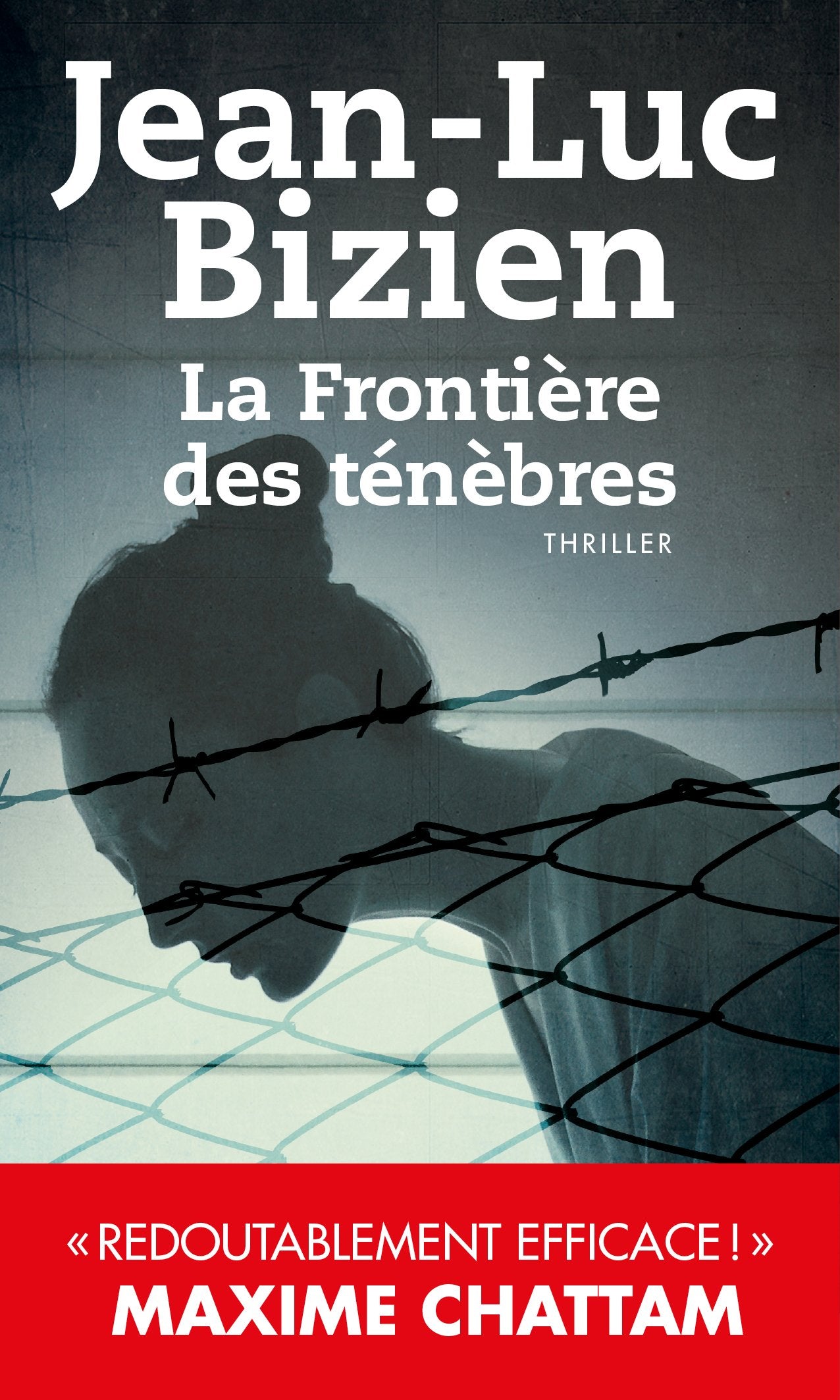 La Frontière des ténèbres Contemporary literature