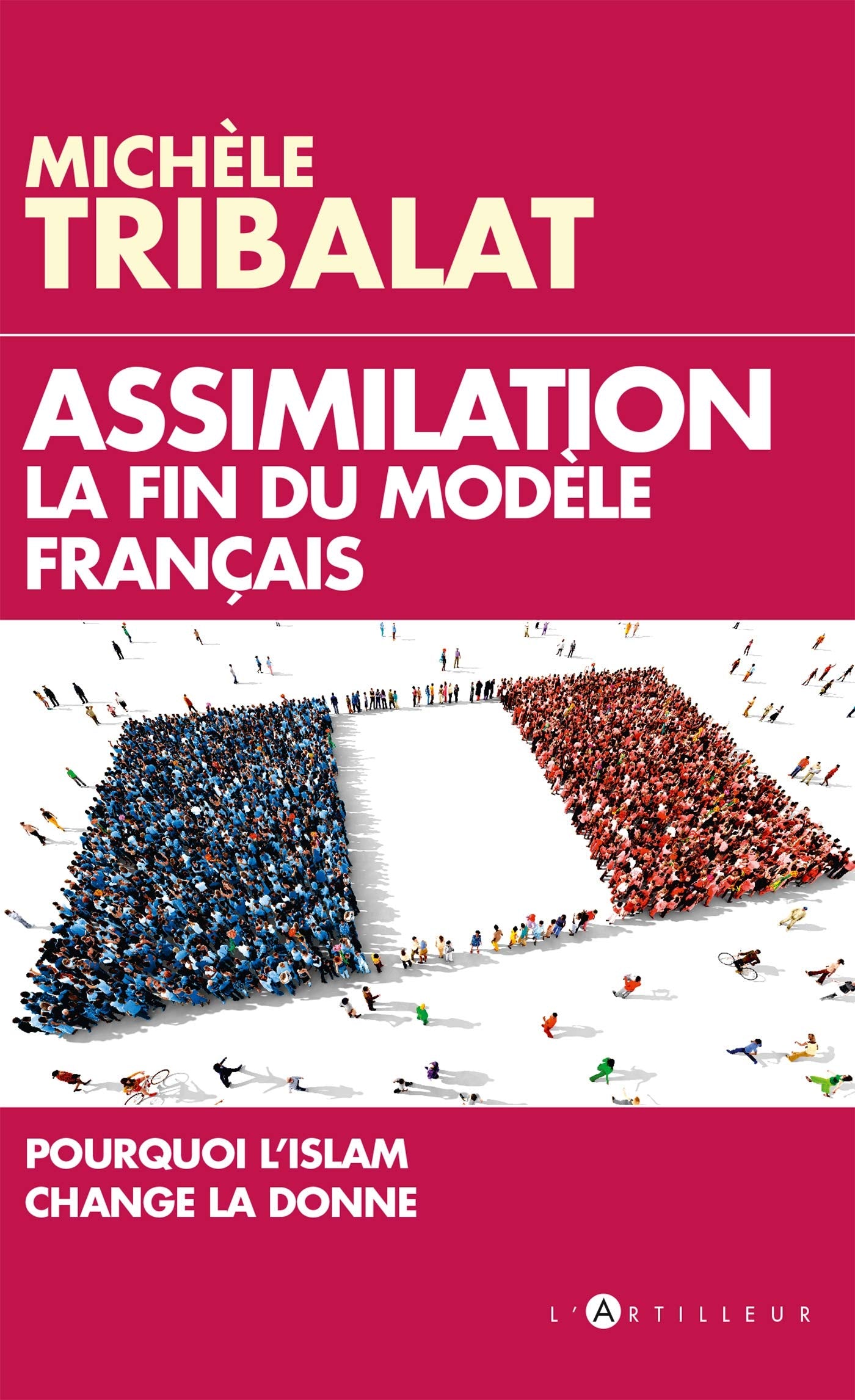 Assimilation : la fin du modèle français: Pourquoi l'Islam change la donne Books