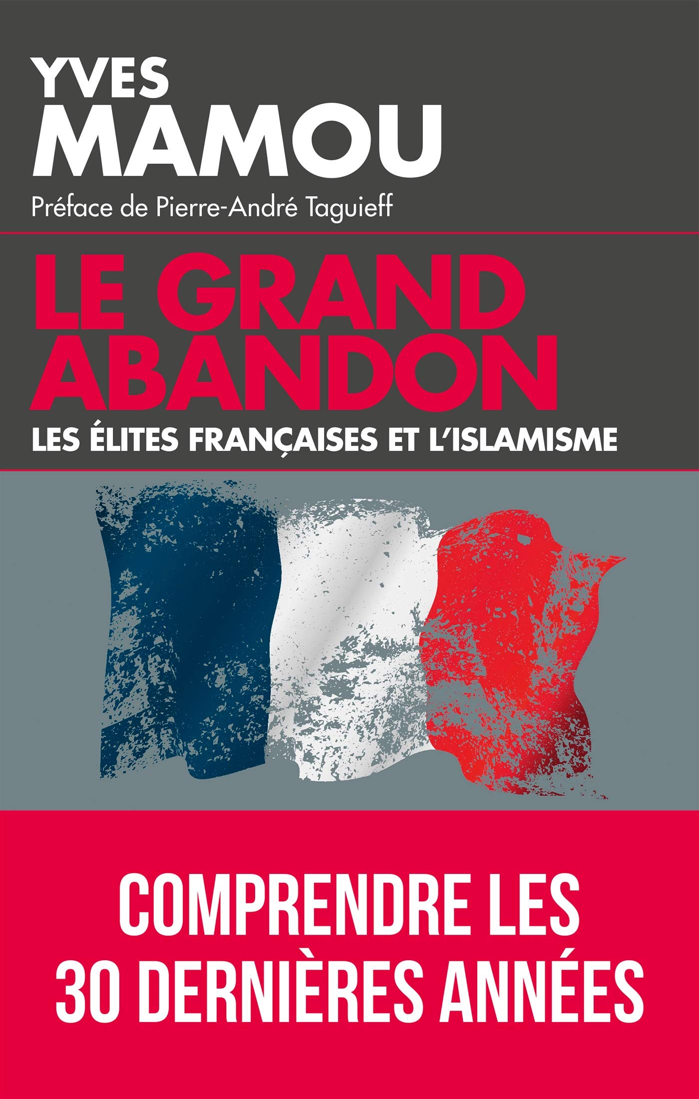 Le grand abandon: Les élites françaises et l'islamisme Books