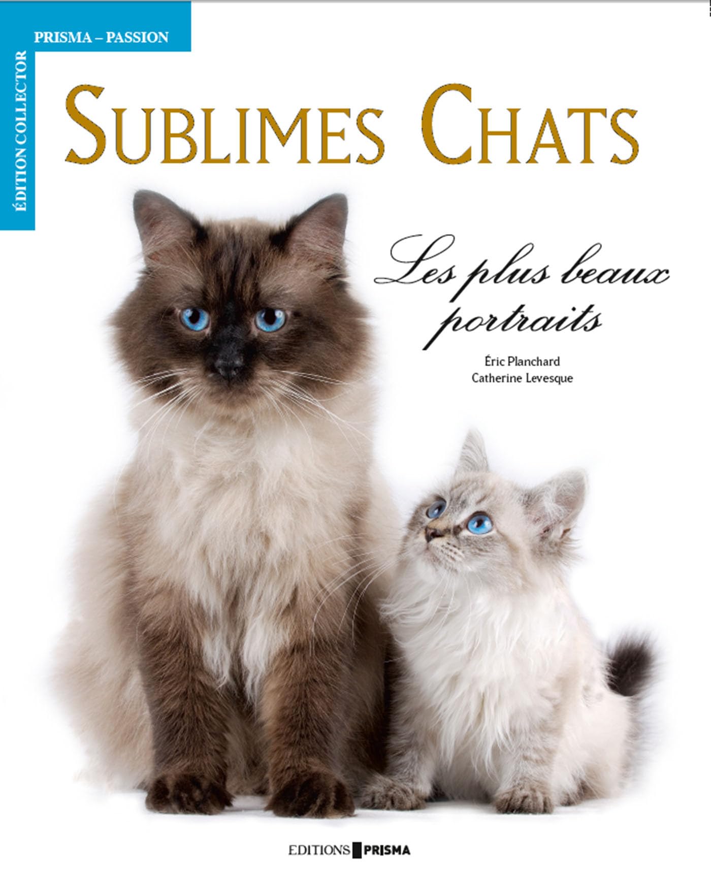 Sublimes Chats - Les plus beaux portraits Film, Art & Culture