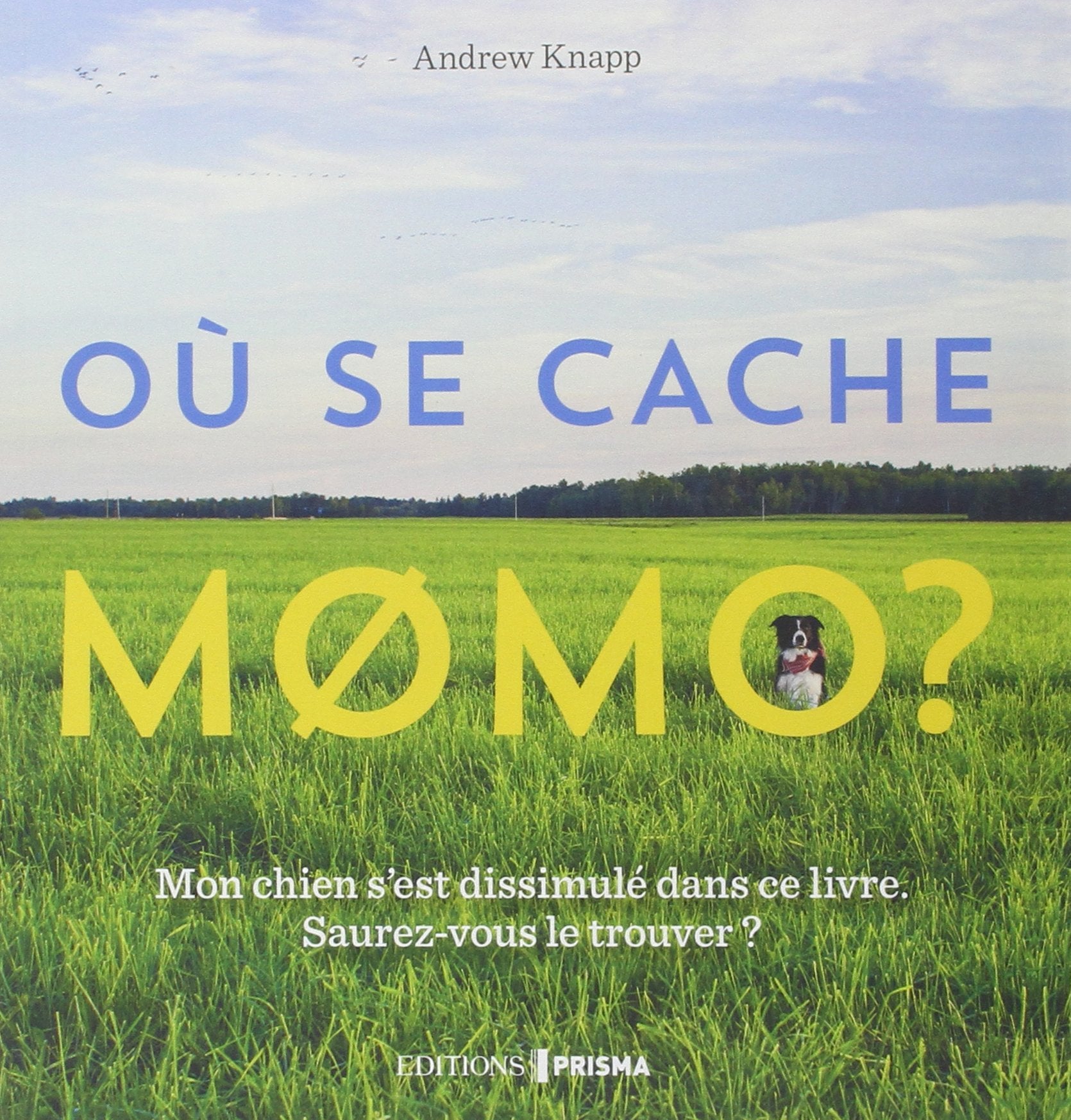 Où se cache Momo ?: Mon chien s'est dissimulé dans ce livre. Saurez-vous le trouver ? Books