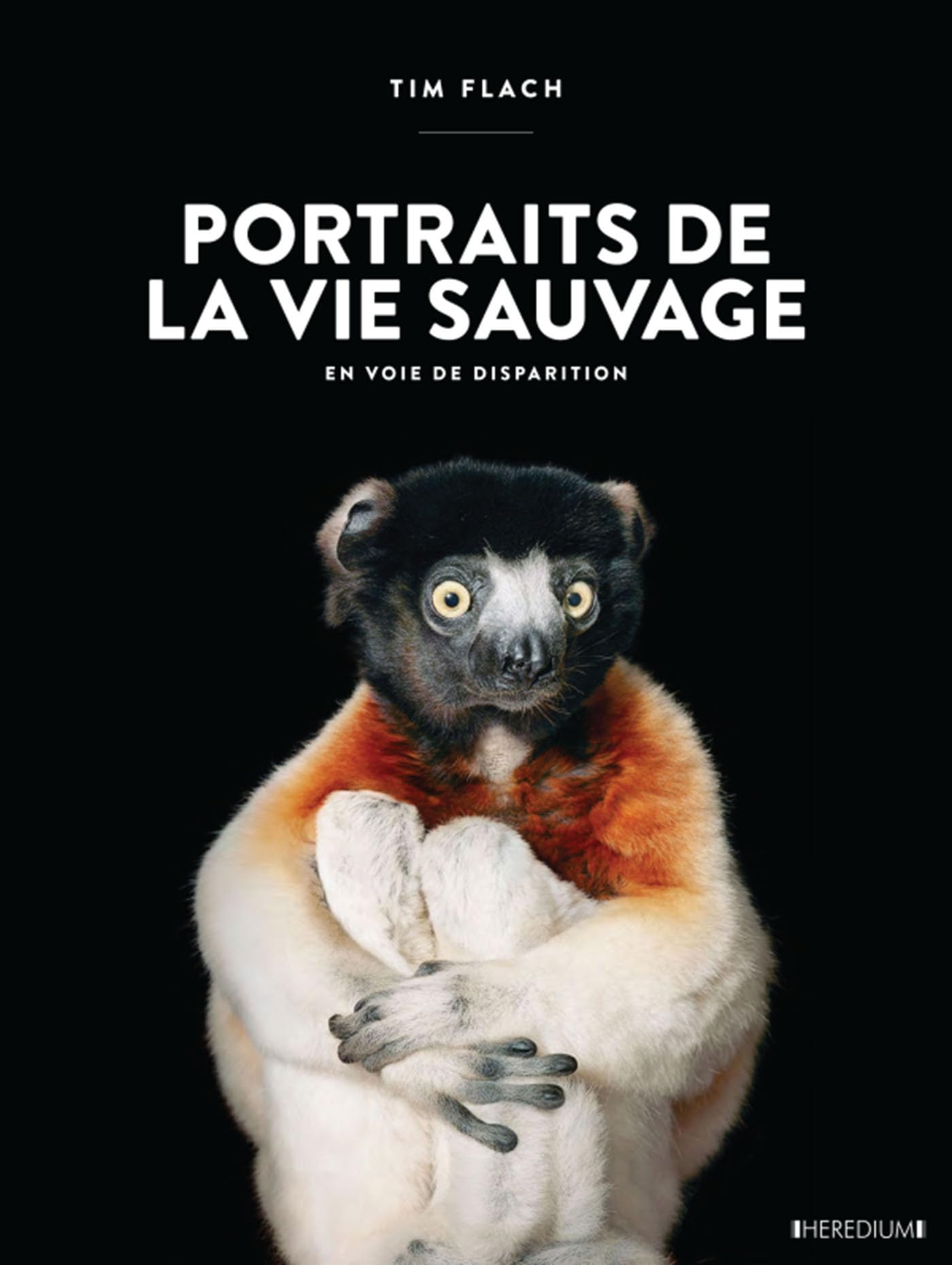 Portraits de la vie sauvage en voie Film, Art & Culture