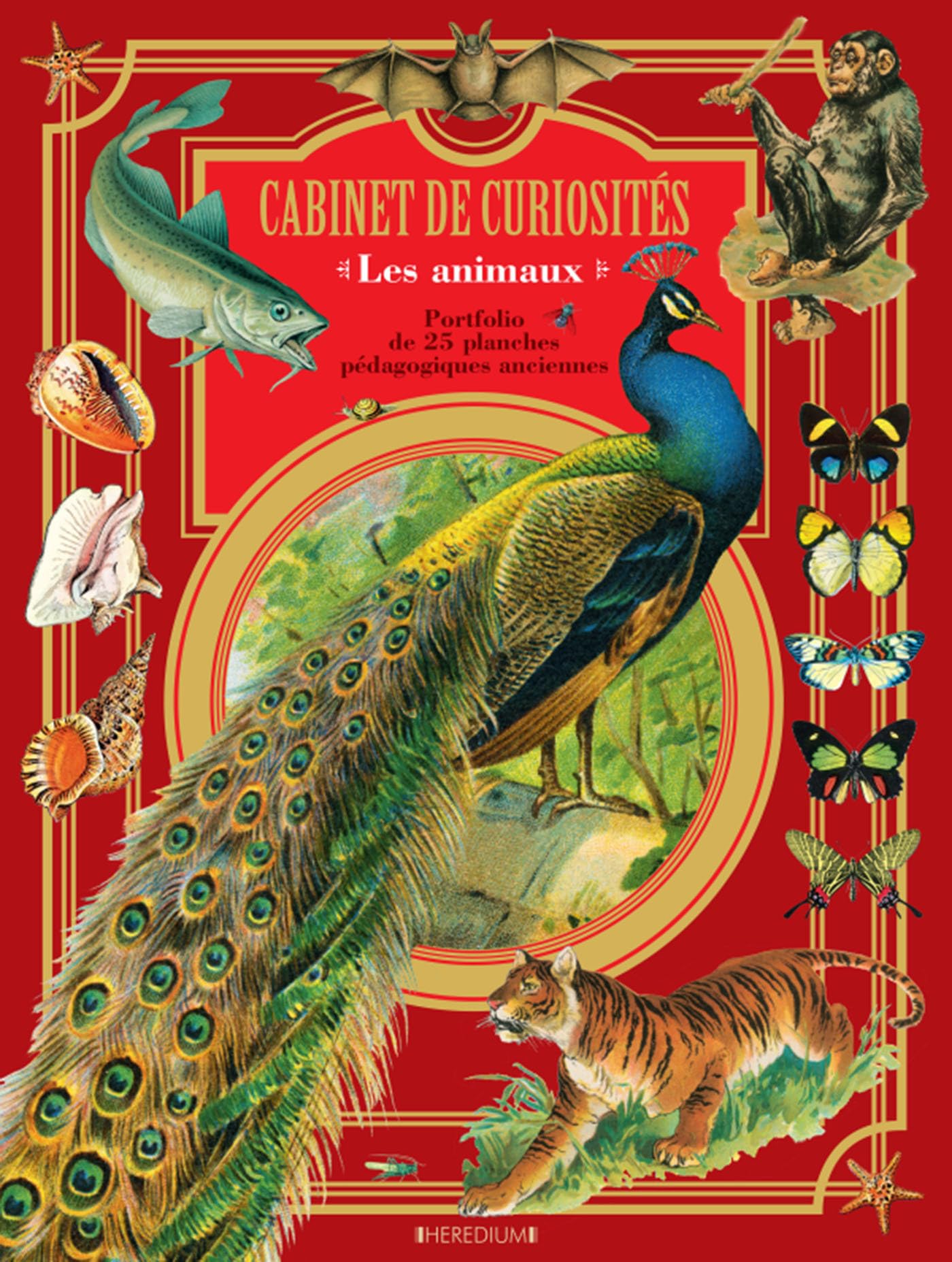 Cabinet de curiosites les animaux: Livre portfolio. 25 planches originales Film, Art & Culture