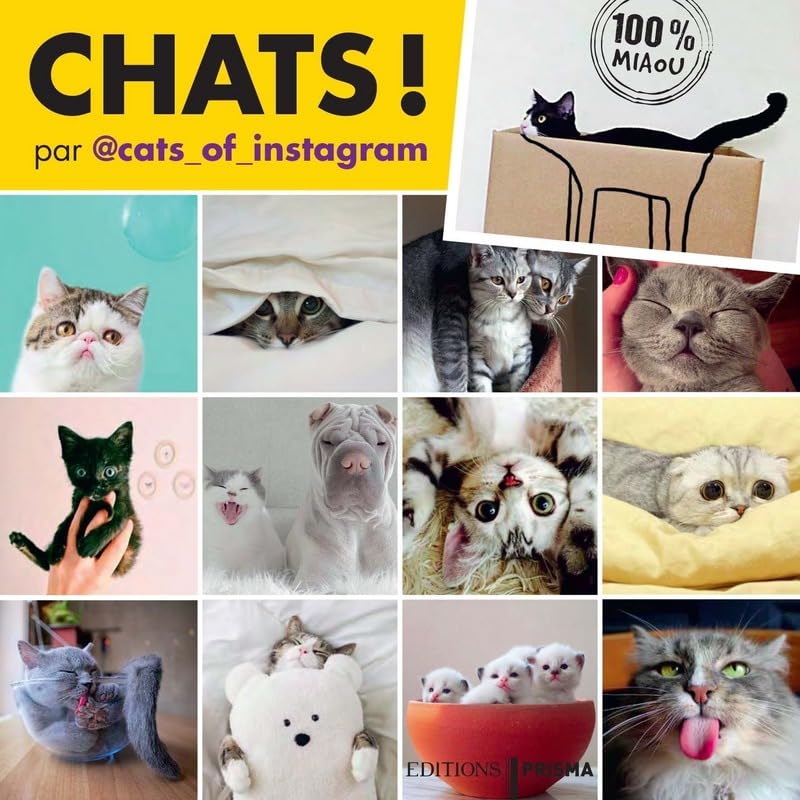 Chats !: 100 % miaou Books