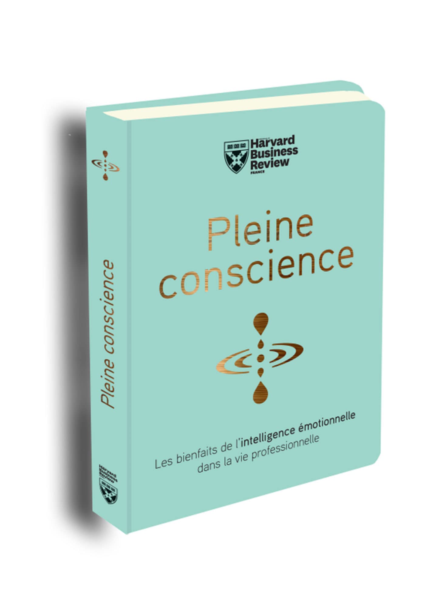 Pleine conscience: Les bienfaits de l'intelligences émotionnelle dans la vie professionnelle Books