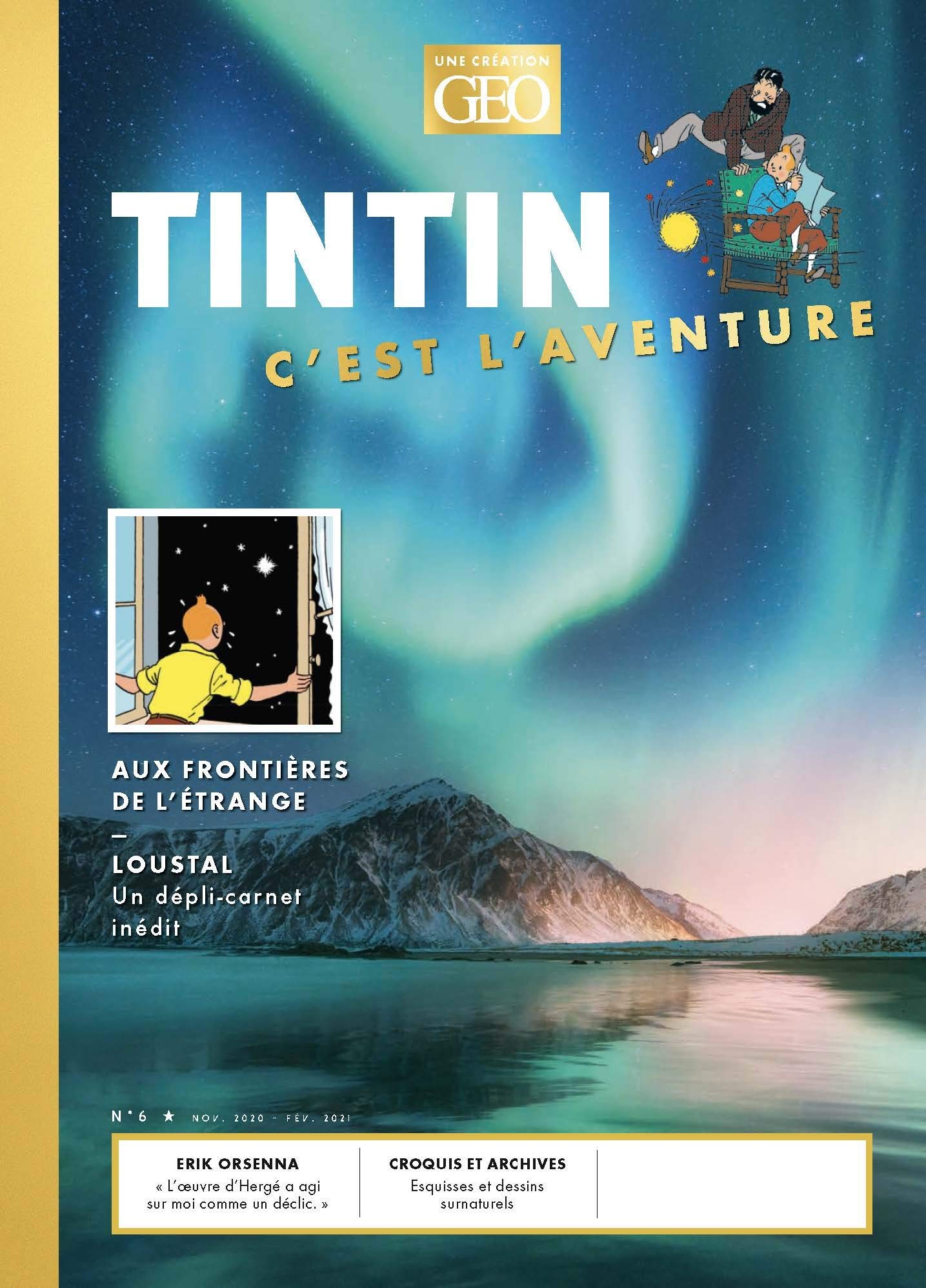 Tintin c'est l'aventure n°6 - Aux frontières de l'étrange: Aux frontières de l'étrange Manga