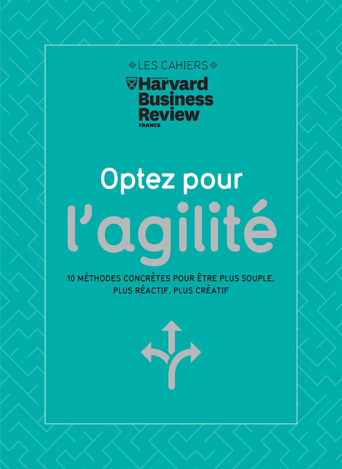 Optez pour l'agilité: 10 méthodes concrètes pour être plus souple, plus réactif, plus créatif Business, Finance & Career