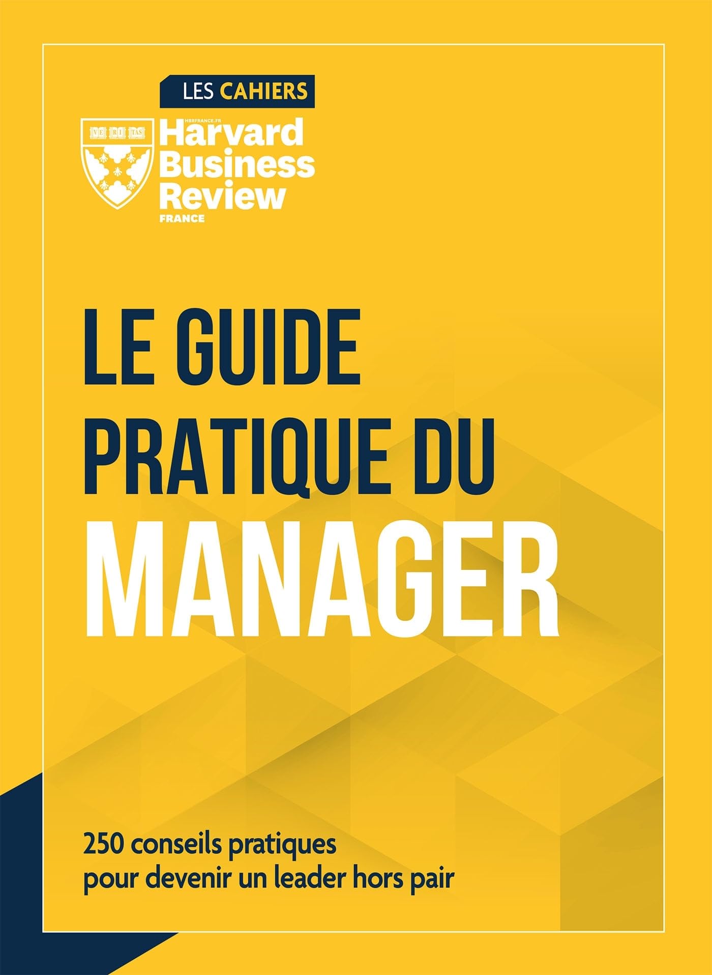 Le Guide Pratique du manager: 250 conseils pour devenir un leader hors pair Business, Finance & Career