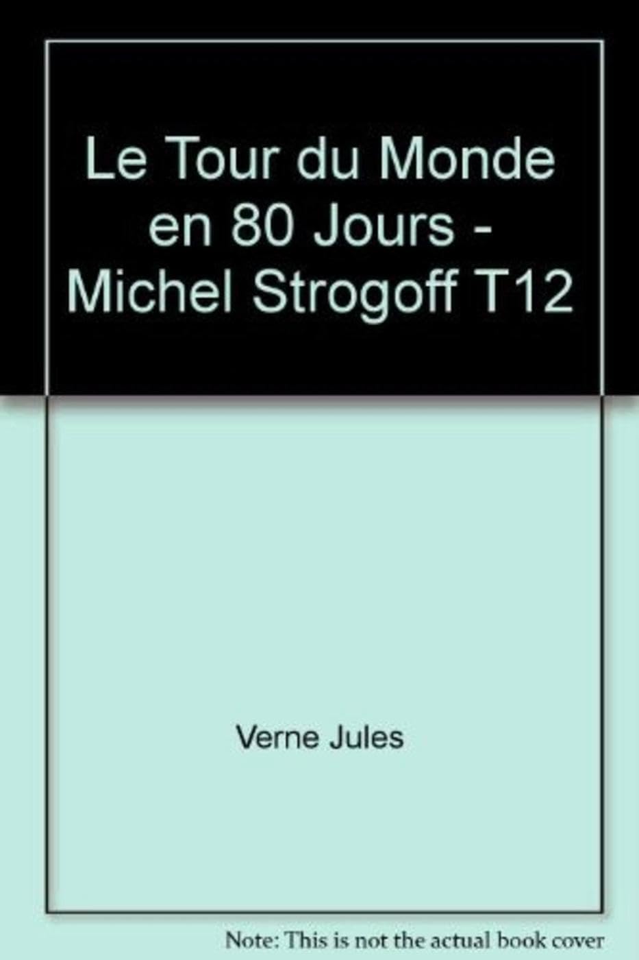 Le tour du monde en 80 jours - Michel Strogoff Books