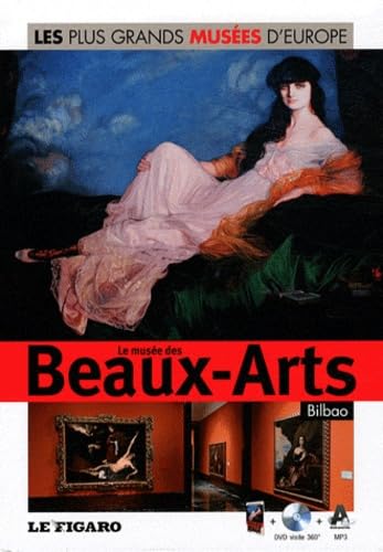 Musée des Beaux-Arts de Bilbao - Volume 22. Avec Dvd visite 360°. book