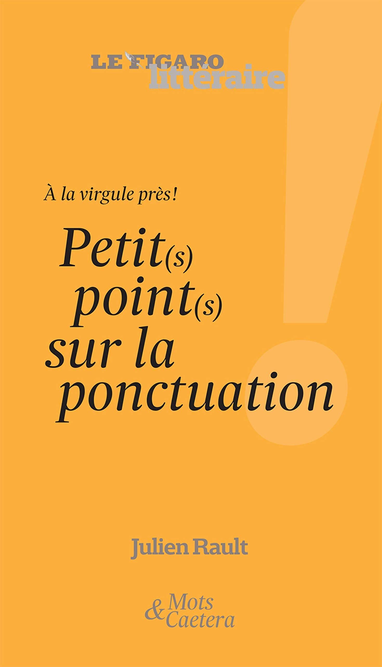 A LA VIRGULE PRES PETITS POINTS SUR LA PONCTUATION book