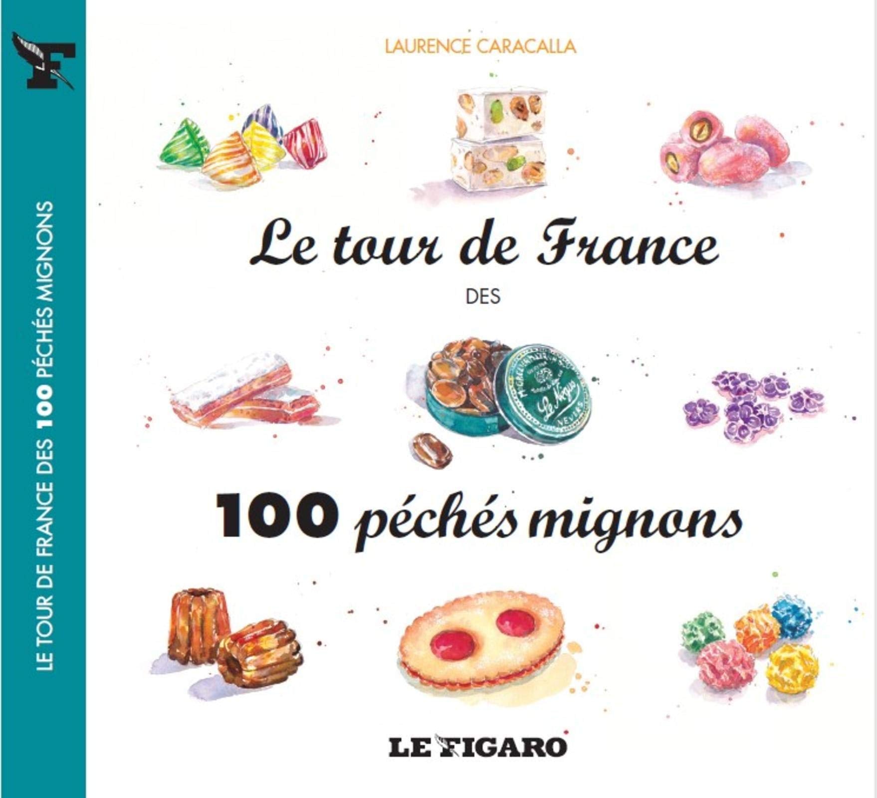 LE TOUR DE FRANCE DES 100 PECHES MIGNONS book