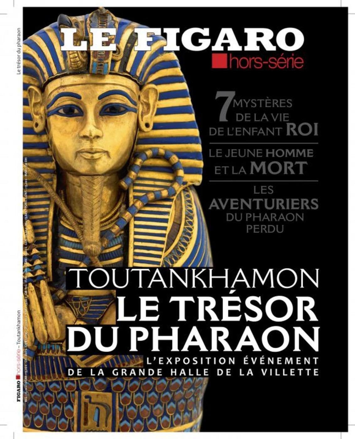 Toutankhamon - Le trésor du pharaon: 7 mystères de la vie de l'enfant roi. Le jeune homme et la mort. Les aventuriers du pharaon perdu Politics & History