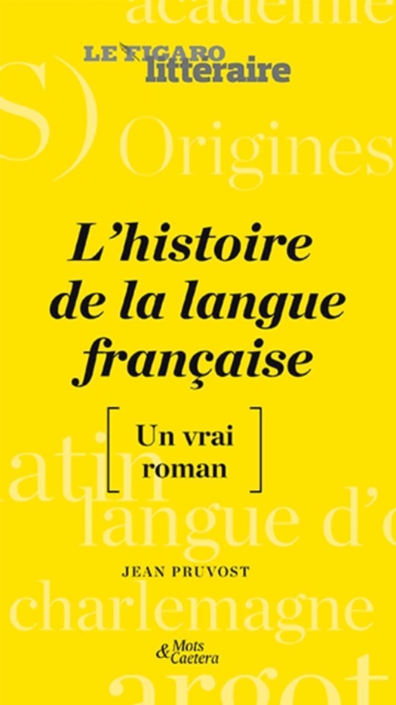 L'histoire de la langue française: book