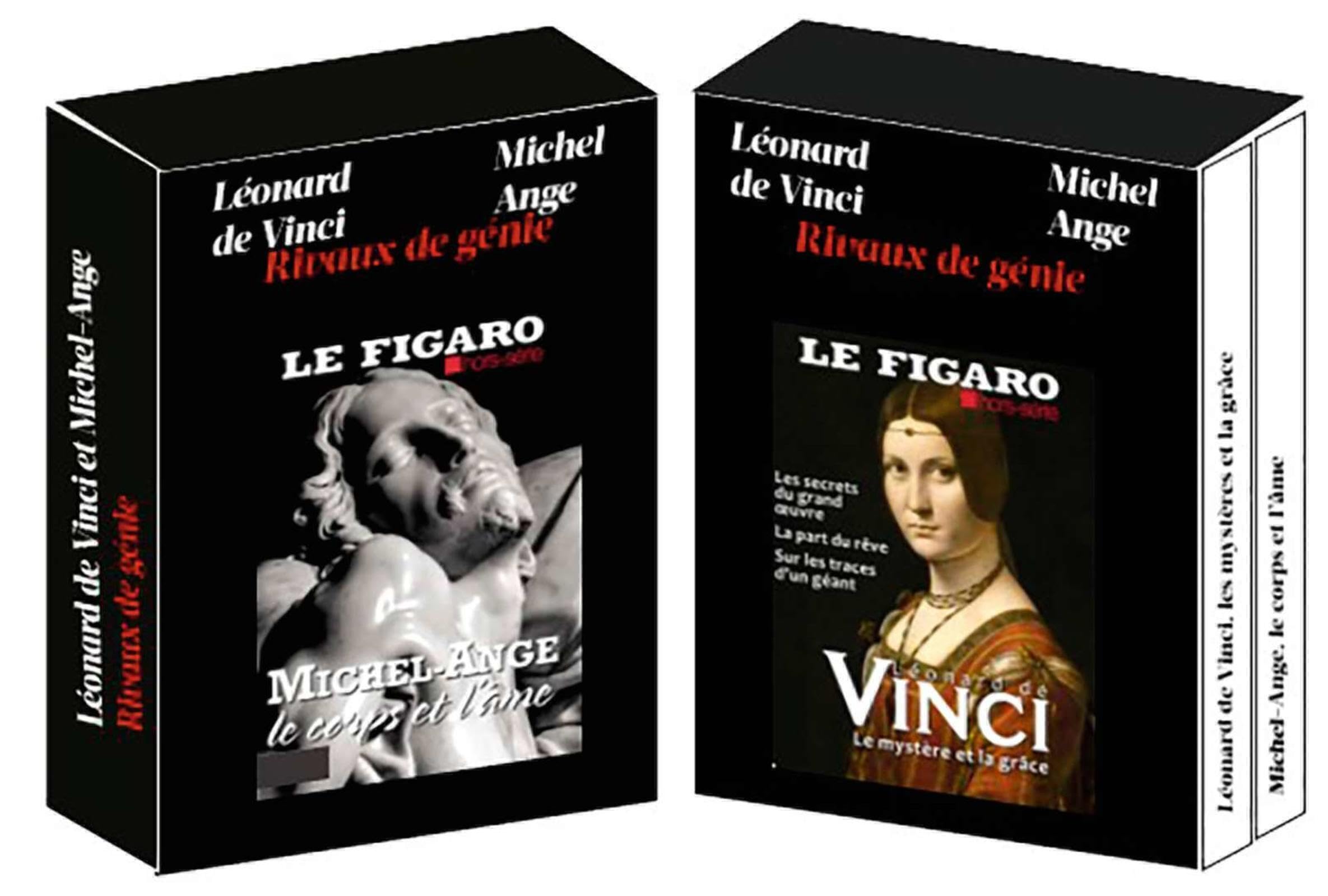 Coffret de 2 Hors série Rivaux de génie: Léonard de Vinci et Michel Ange book