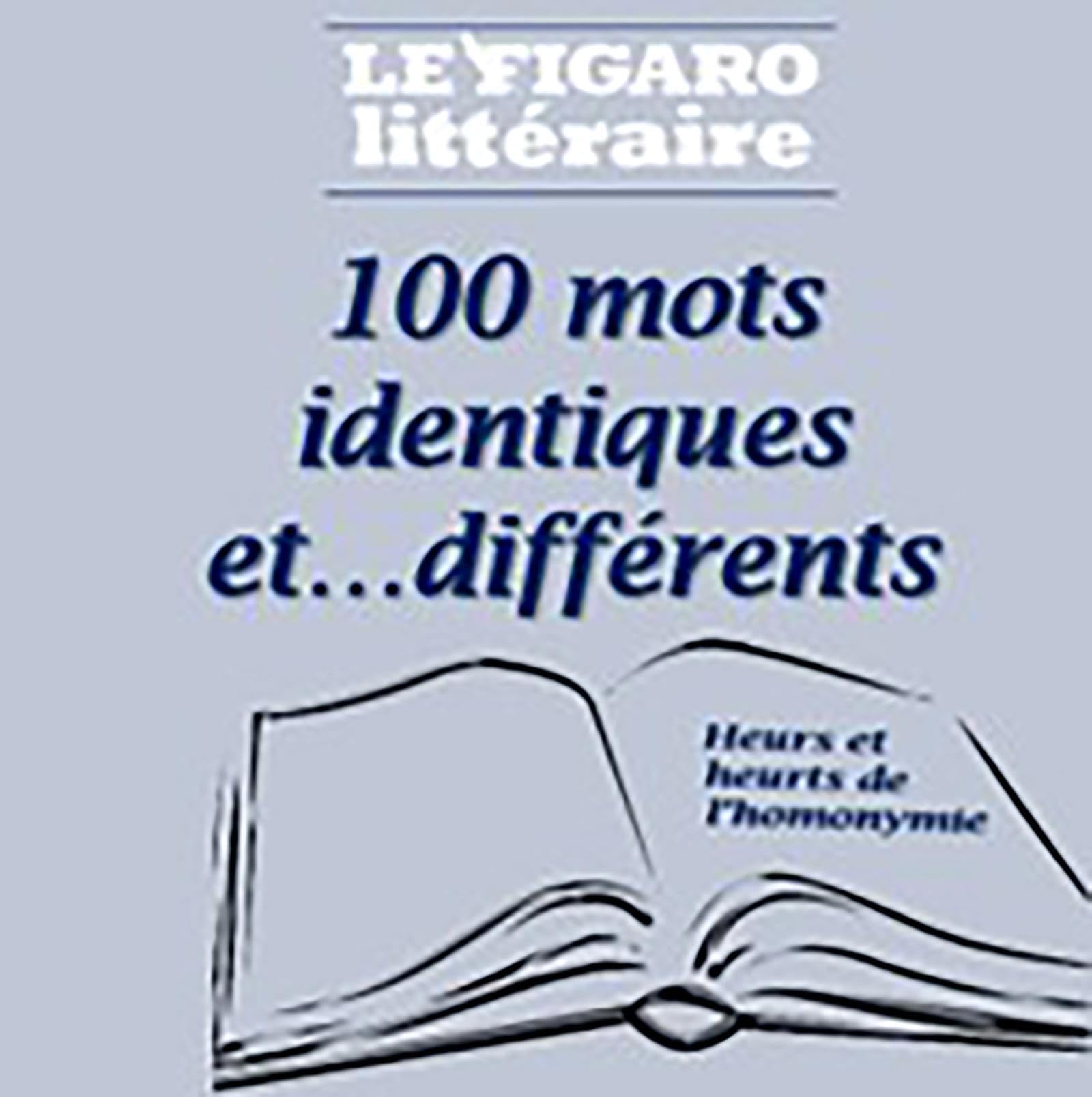 PLV de 5 ex du Guide 100 homonymes de la langue française book