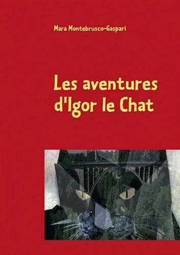 AVENTURES D IGOR CHAT: Le secret des 7 vies des chats Tiptoi & Games