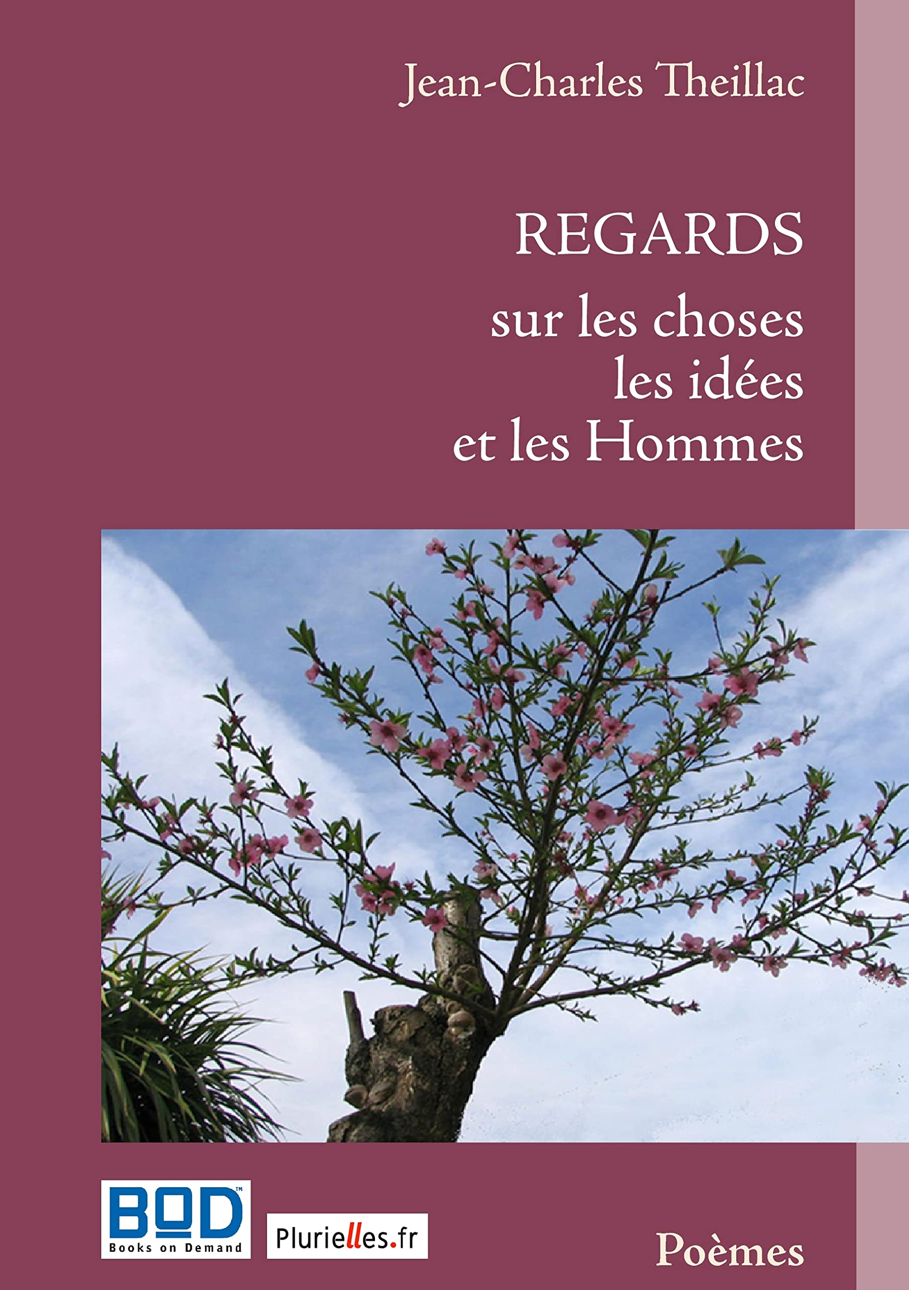 REGARDS SUR LES CHOSES LES IDEES ET LES HOMMES (0000) book