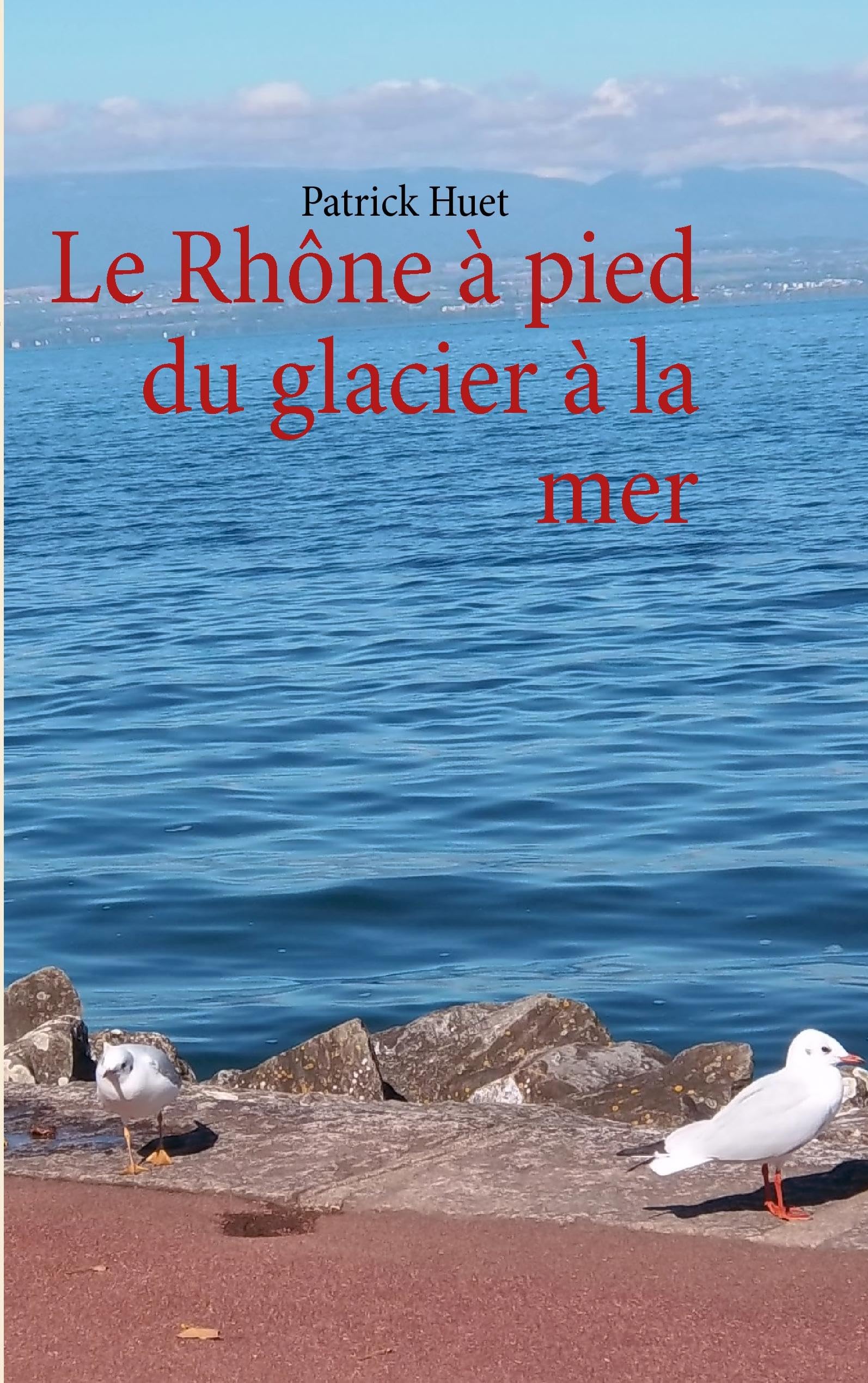 Le Rhône à pied du glacier à la mer: LE RHONE A PIED DU GLACIER A LA MER Leisure, Home & Garden