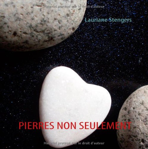 Pierres non seulement: Conversations avec Sakineh book