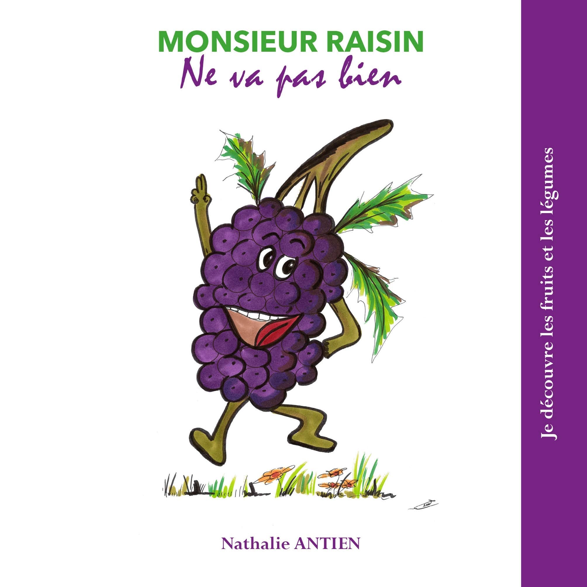 Monsieur Raisin ne va pas bien book